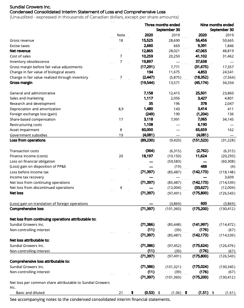 Pro forma financial statement
