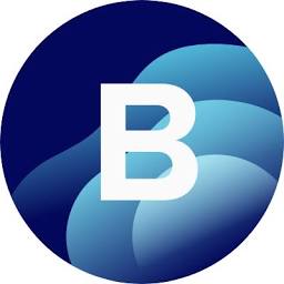 BlueOcean logo