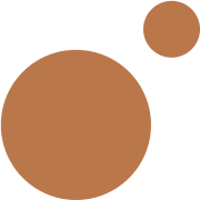 Maestro logo